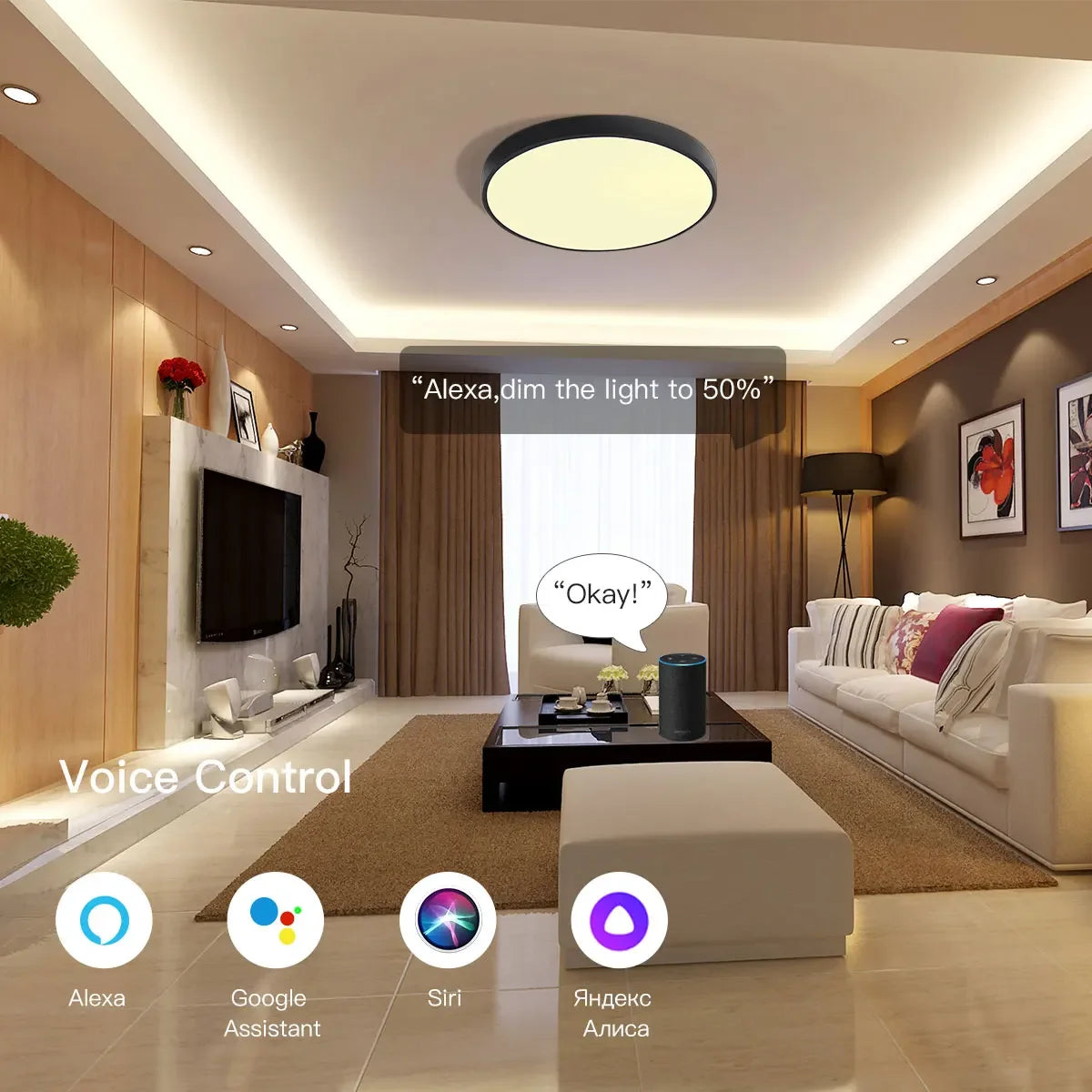 HomeKit CozyLife WiFi Ceiling Lamp Modern Nordic Round Light Smart Dimmable Interior Lighting Work With Alexa Google SmartThings