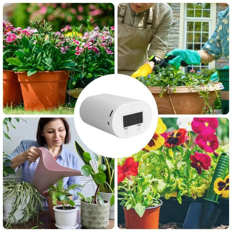Drip Watering System For Potted Plants Plant Drip Watering System Indoor Irrigation System For Potted Plants Plant Drip Watering