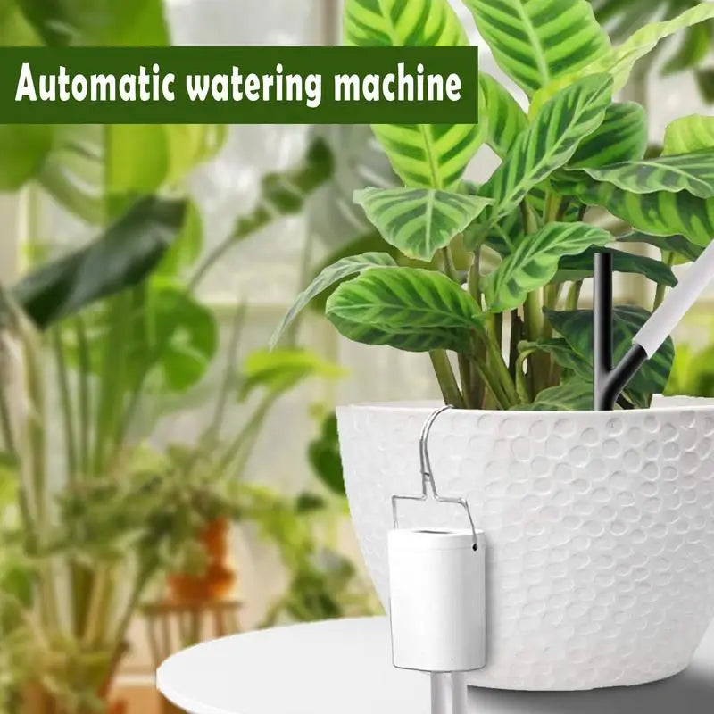 Drip Watering System For Potted Plants Plant Drip Watering System Indoor Irrigation System For Potted Plants Plant Drip Watering