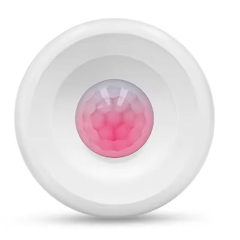 B29C-Smart Infrared Monitoring Tuya Zigbee PIR Infrared Detector PIR Infrared Detector