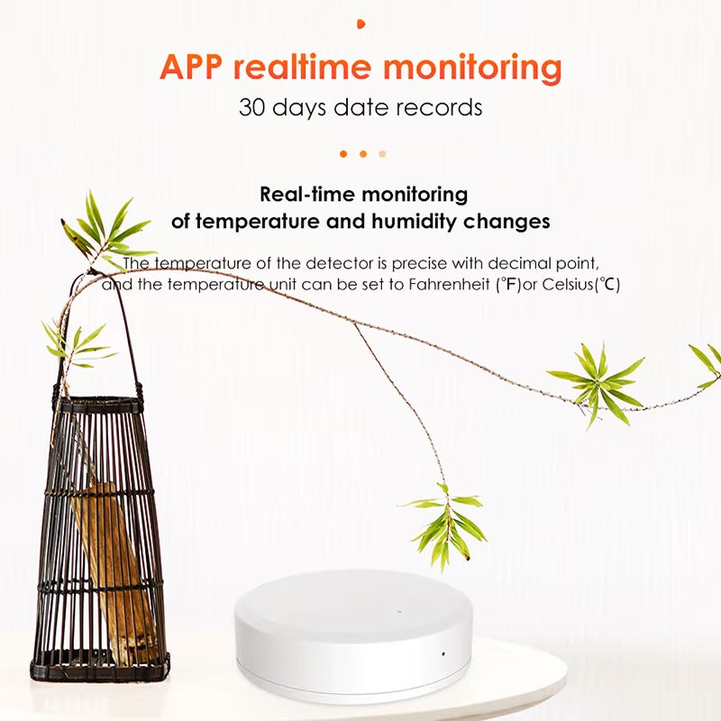 NEW Zigbee Temperature Sensor Humidity Detector Smart Thermometer Work with Zigbee HA Ewelink Alexa Google MQTT Smartthings Hub
