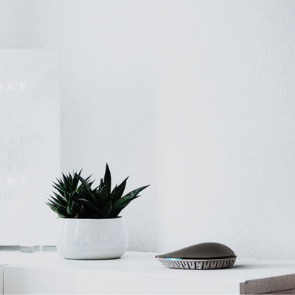 Ezlo Smart Home Hub