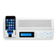 IST RETRO Music & Intercom Master Station, White