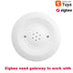 Tuya Wifi/Zigbee Water Leak Sensor Flood Leakage Detector with Sound Alarm 80Db and IP55 Waterproof Water Sensor Remote Monitor