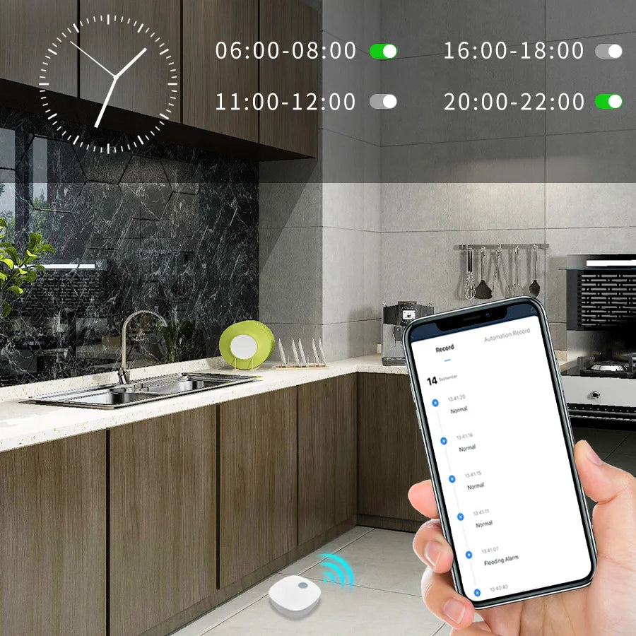Tuya Zigbee Water Sensor Leak Flood Detector Alarm Smart Life Work with Tuya Gateway Alexa Google Assistant for Kitchen Bathroom
