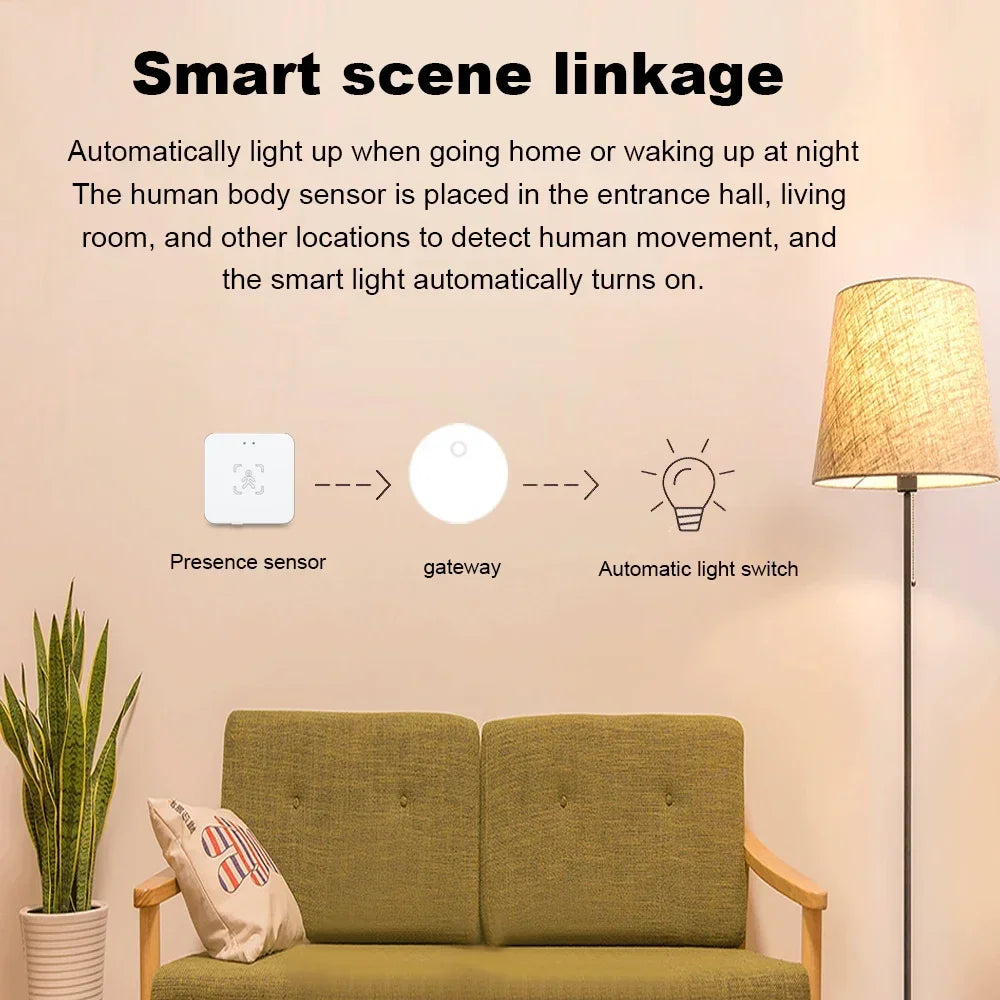 24G Zigbee Human Presence Detector Smart Human Body PIR Sensor Radar Detectormotion Sensors Support Home Assistant