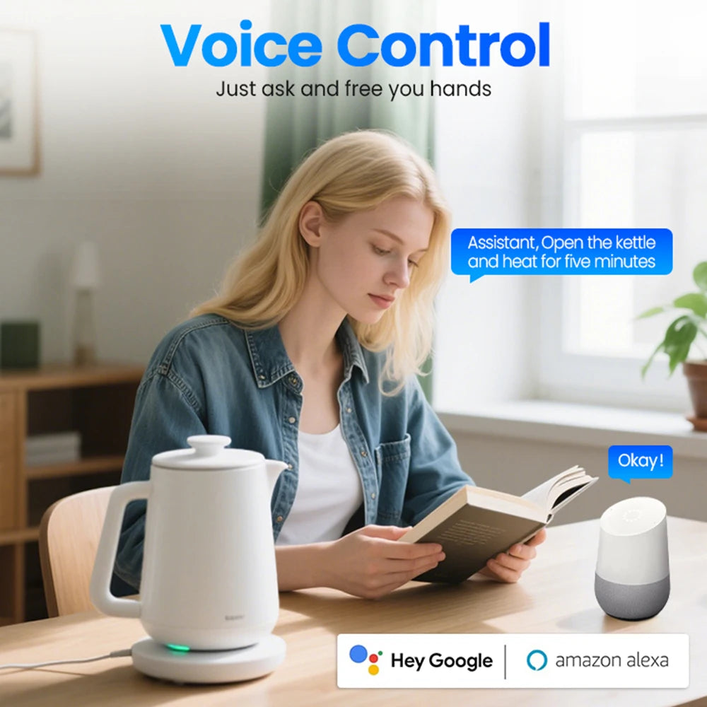 USA Canada Zigbee Smart Plug US Standard 10A/16A Works with Alexa Google Assistant APP Remote Control Timer Group Control