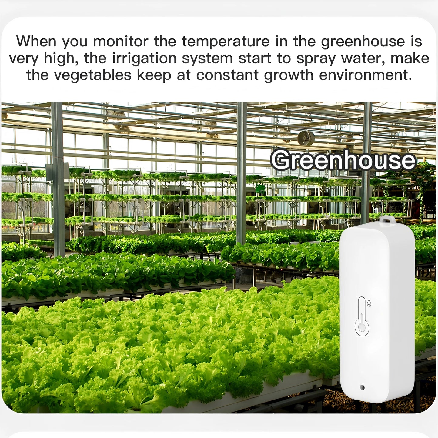 Tuya Zigbee Temper & Humidity Sensor for Indoor/Outdoor IP65 Waterproof Smart Home/Life APP Support Alexa Google Smart Speaker