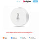 Tuya Zigbee Mini Temperature Humidity Sensor Smart Home Remote Monitor Works with Gateway Alexa Google Home Voice App Control