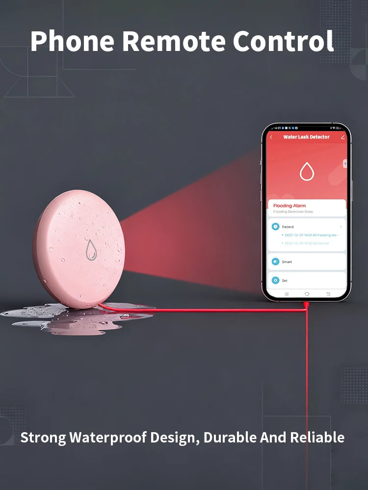 Zigbee Water Leak Detector Professional IP65 Waterproof Protection Tuya Zigbee Smart Flood Leakage Sensor App Remote Metal Probe
