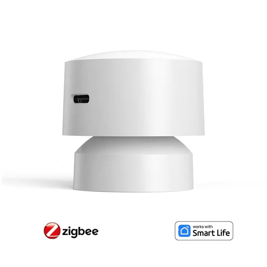 Tuya Zigbee or 2.4Wifi Smart Human Presence Sensor 24G Mmwave Radar No Camera Privacy Protection for Google Alexa Smart Life APP