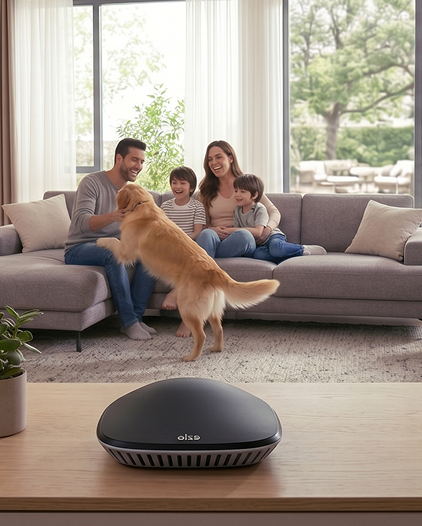 Voice Control