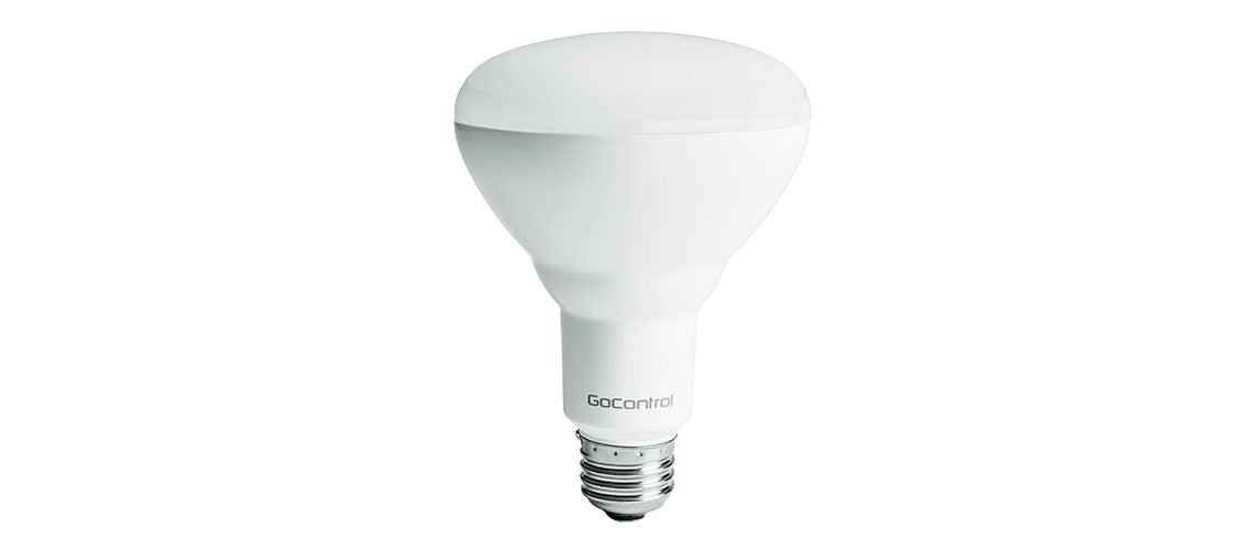 GoControl Dimmable LED Smart Flood Light